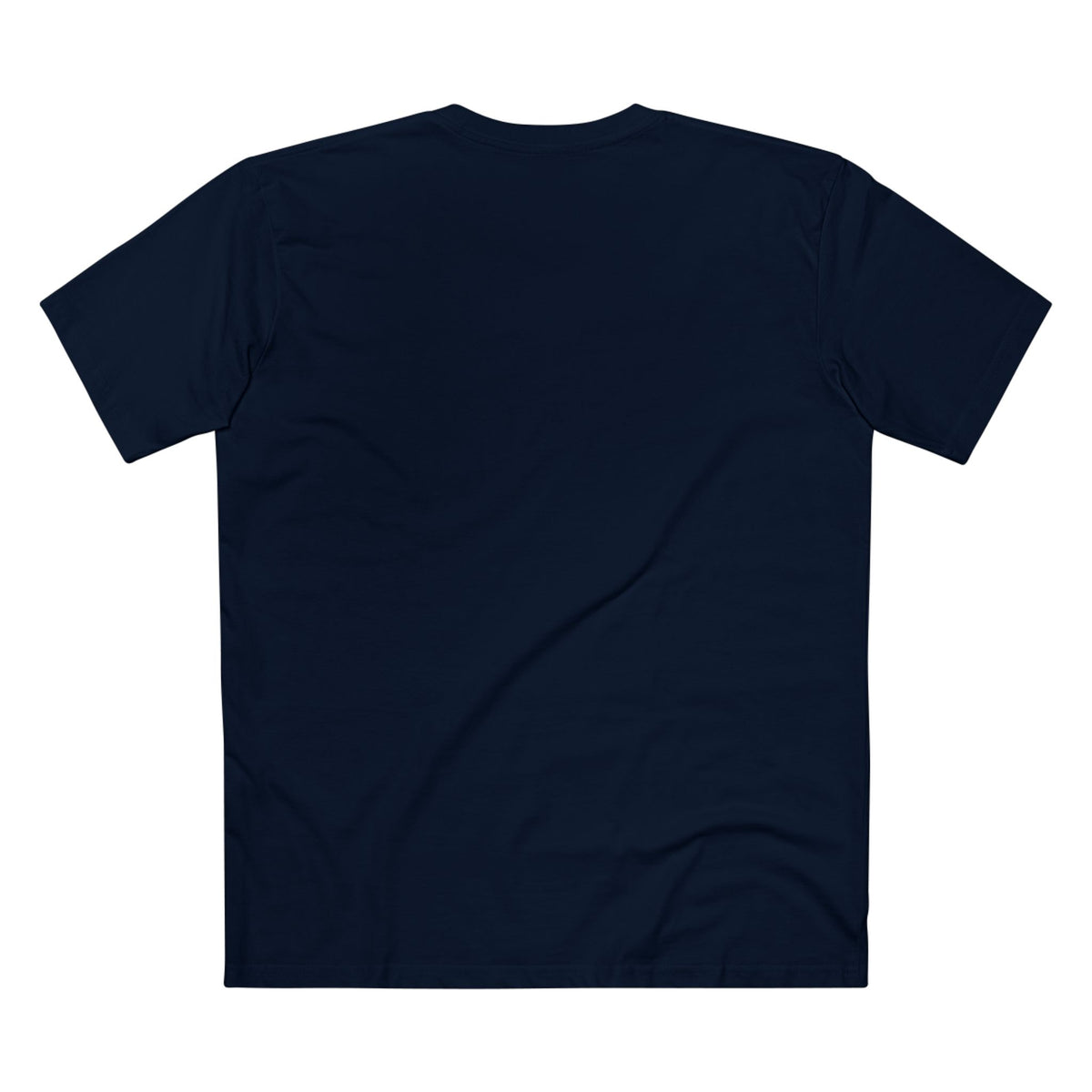 Being Hated by Idiots Is the Price You Pay for Not Being One of Them T-Shirt