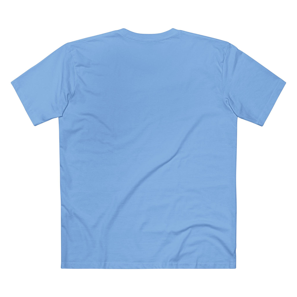 Being Hated by Idiots Is the Price You Pay for Not Being One of Them T-Shirt