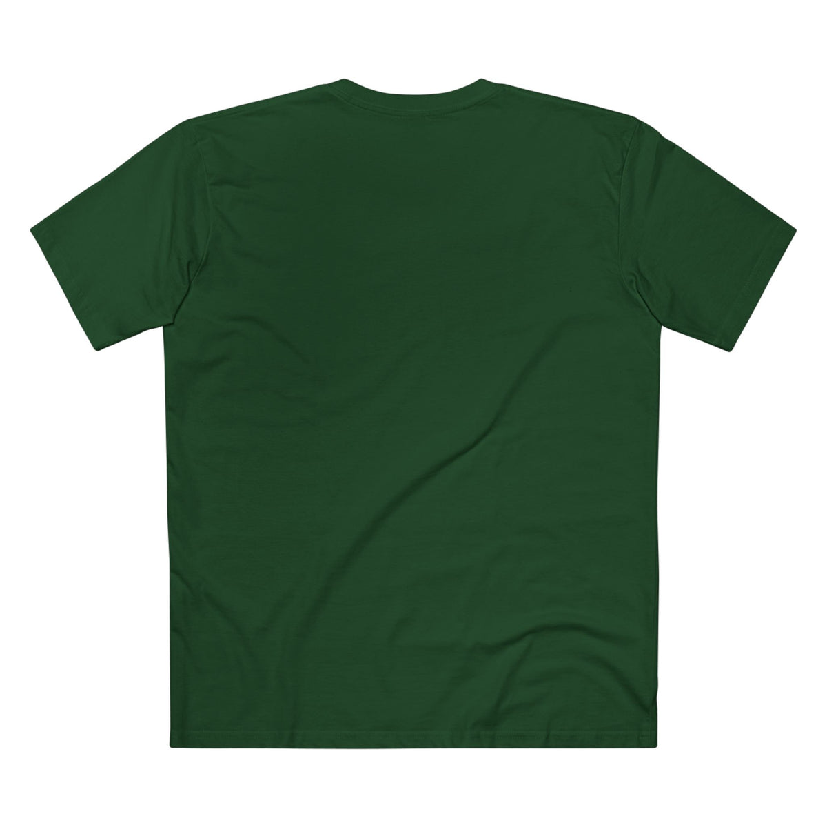 Being Hated by Idiots Is the Price You Pay for Not Being One of Them T-Shirt