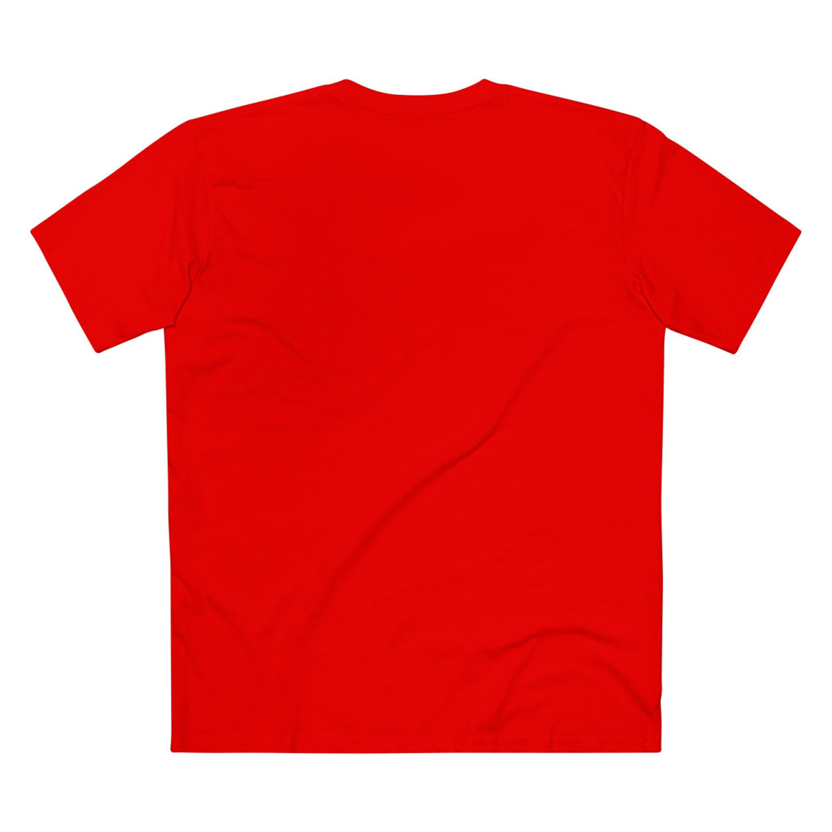 Being Hated by Idiots Is the Price You Pay for Not Being One of Them T-Shirt